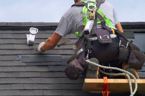 Best Gutter Installation and Roofing  in Forest Hills, TN