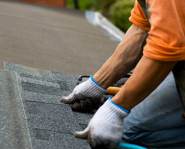 Best Metal Roofing Contractor  in Forest Hills, TN