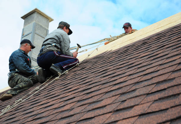 Quick and Trustworthy Emergency Roof Repair Services in Forest Hills, TN