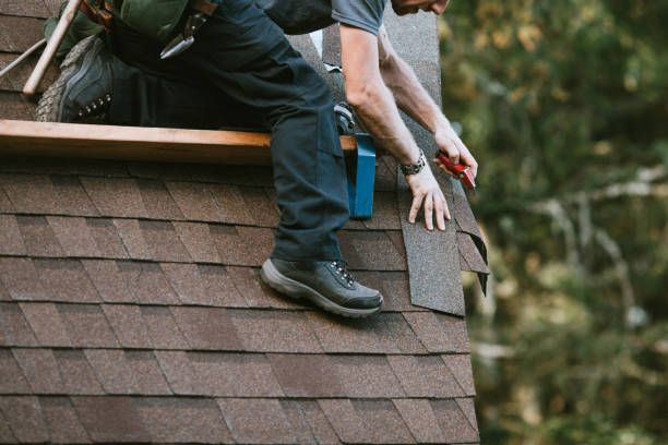 Best Roof Gutter Cleaning  in Forest Hills, TN